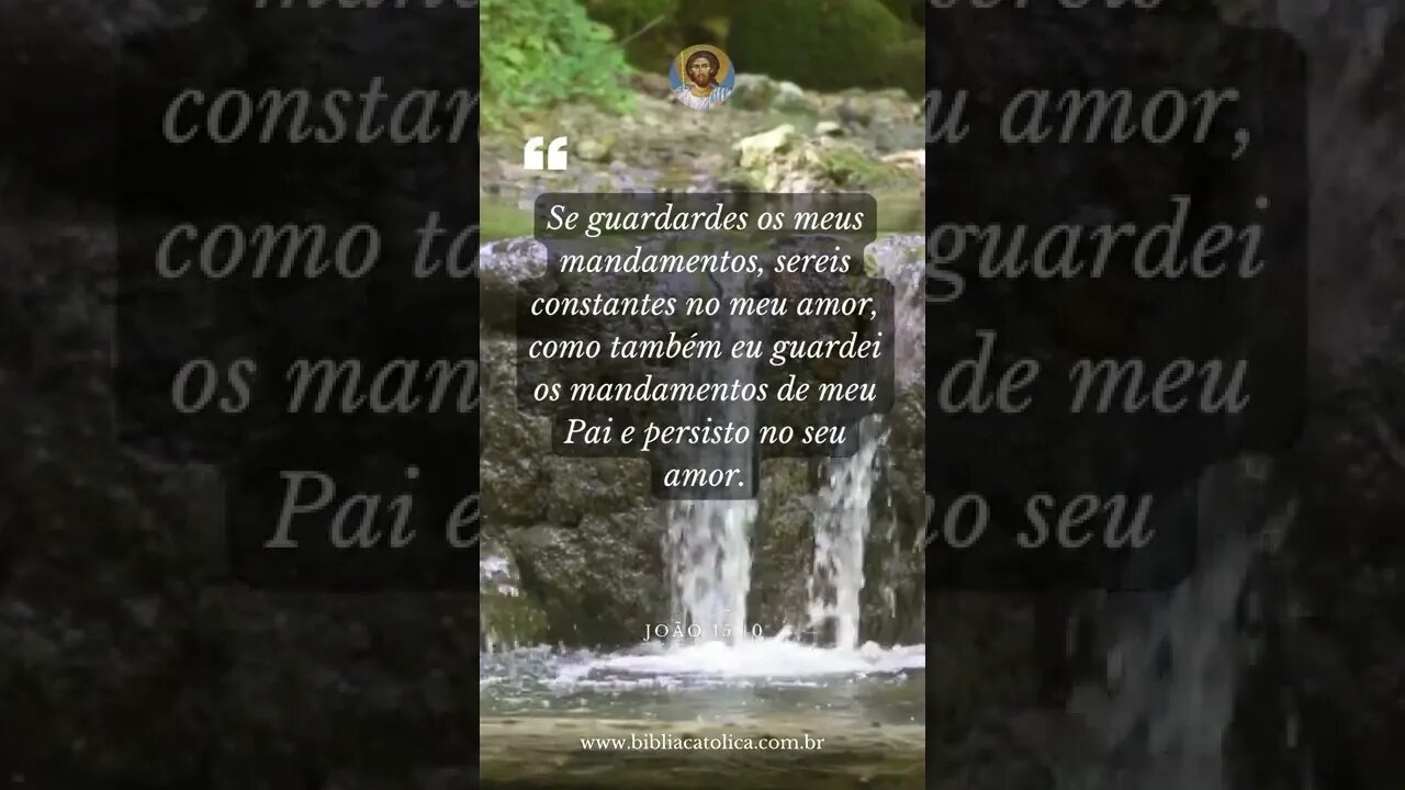 João 15,10 - Se guardardes os meus mandamentos, sereis constantes no meu amor, como também eu guarde