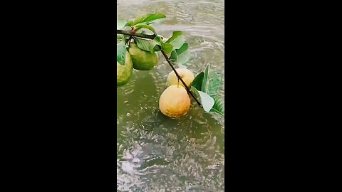 भगवान sabka ख्याल रखता है 🙏🙏