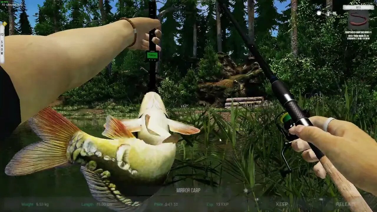 Ultimate Fishing Simulator 2 Zalasie Letnisko Spot 1 Common Carp,Sezan Carp,Mirror Carp,Northern