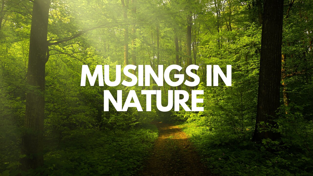 Musing in Nature - Does movement and nature help Tension myoneural syndrome?