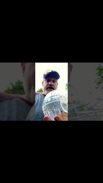 Hamster lose I’m my truck!!!