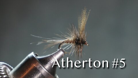 Atherton #5 (dry fly)