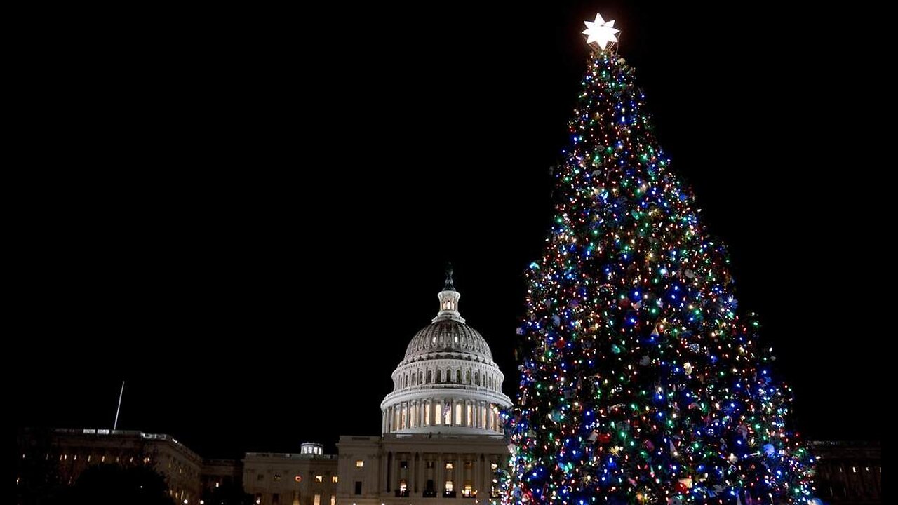 Rep. Mike Collins' House Office Christmas Display Just Won the Internet, With a Special