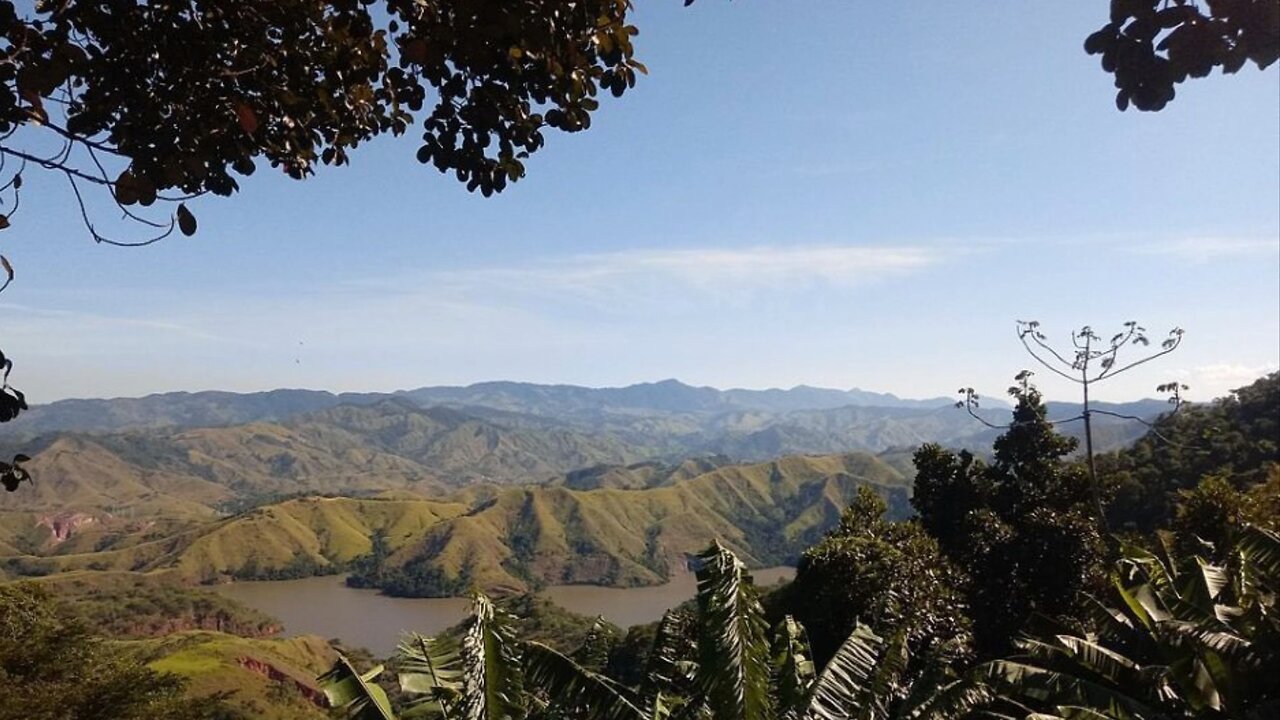 Mata Atlântica picada em fragmentos no Brasil em 80% do bioma