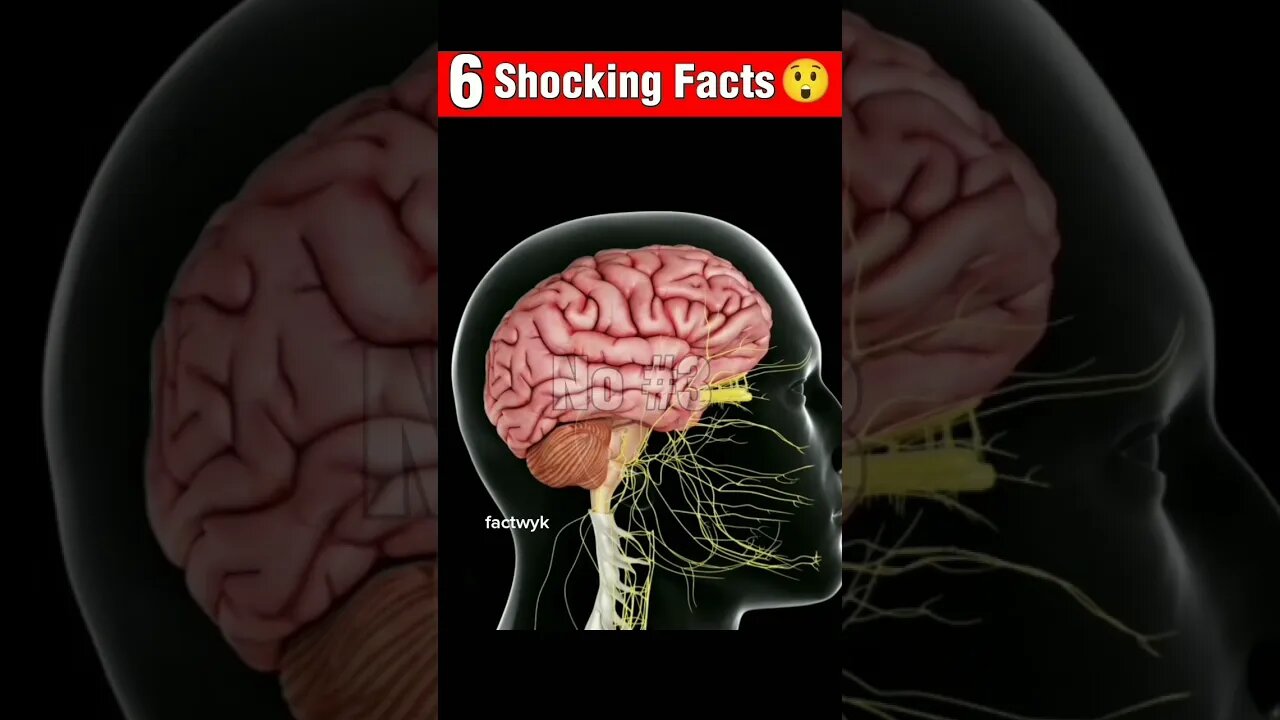 6 facts that blows your mind🤯. #shots #facts #viralshorts