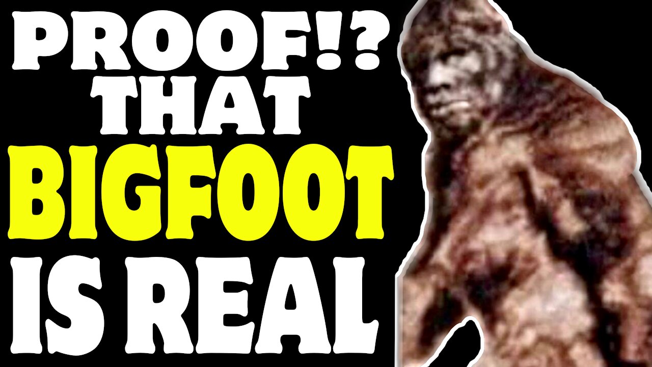 Finally MORE evidence that Bigfoot exists