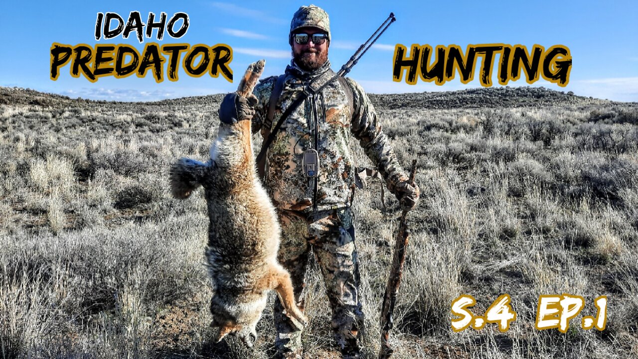 Coyote Hunting "High Ground Advantage"