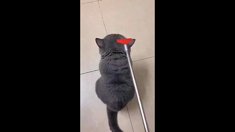 So cuute