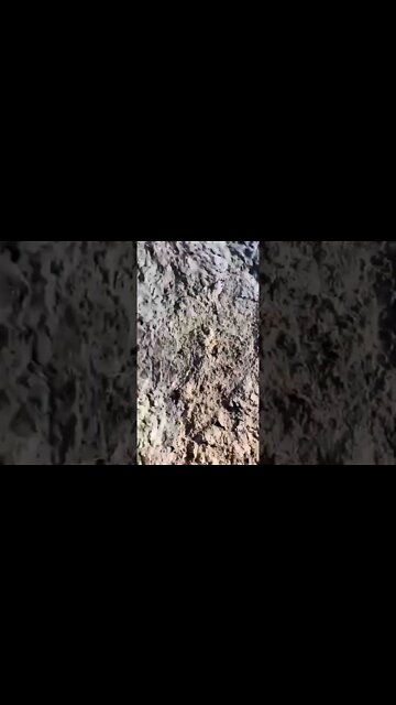 🇷🇺🇺🇦 This Is How Ukrainian Militants Are Greeted By Russian Forces Every Morning