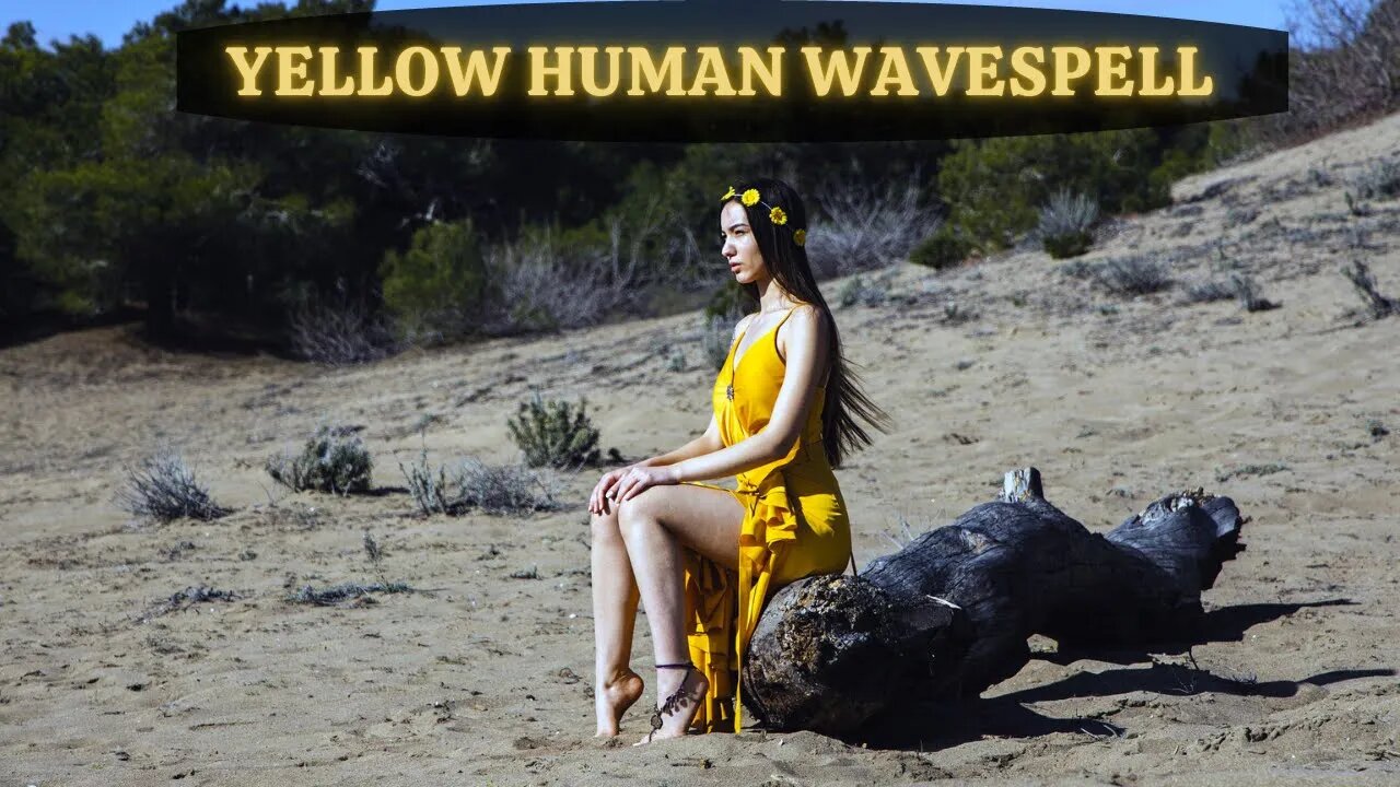 YELLOW HUMAN WAVESPELL | KINS 92 ~ 104 | AUGUST 18 - 30 2022 ~ Mayan Tzolkin Calendar