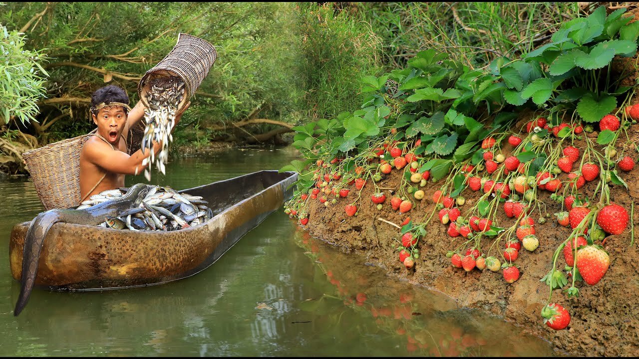 Survival in the forest - fishing in the river found strawberries, Eat delicious strawberries