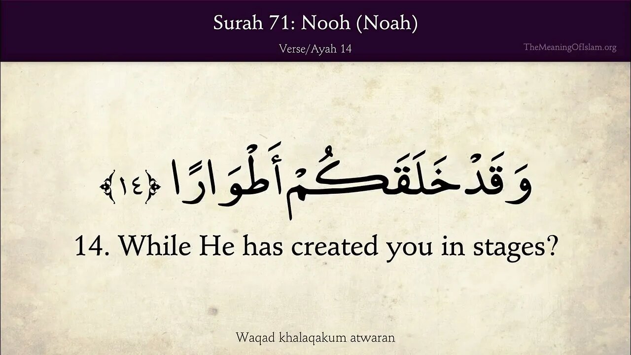 English Quran | Chapter 71 | Surah Nuh ( Noah )