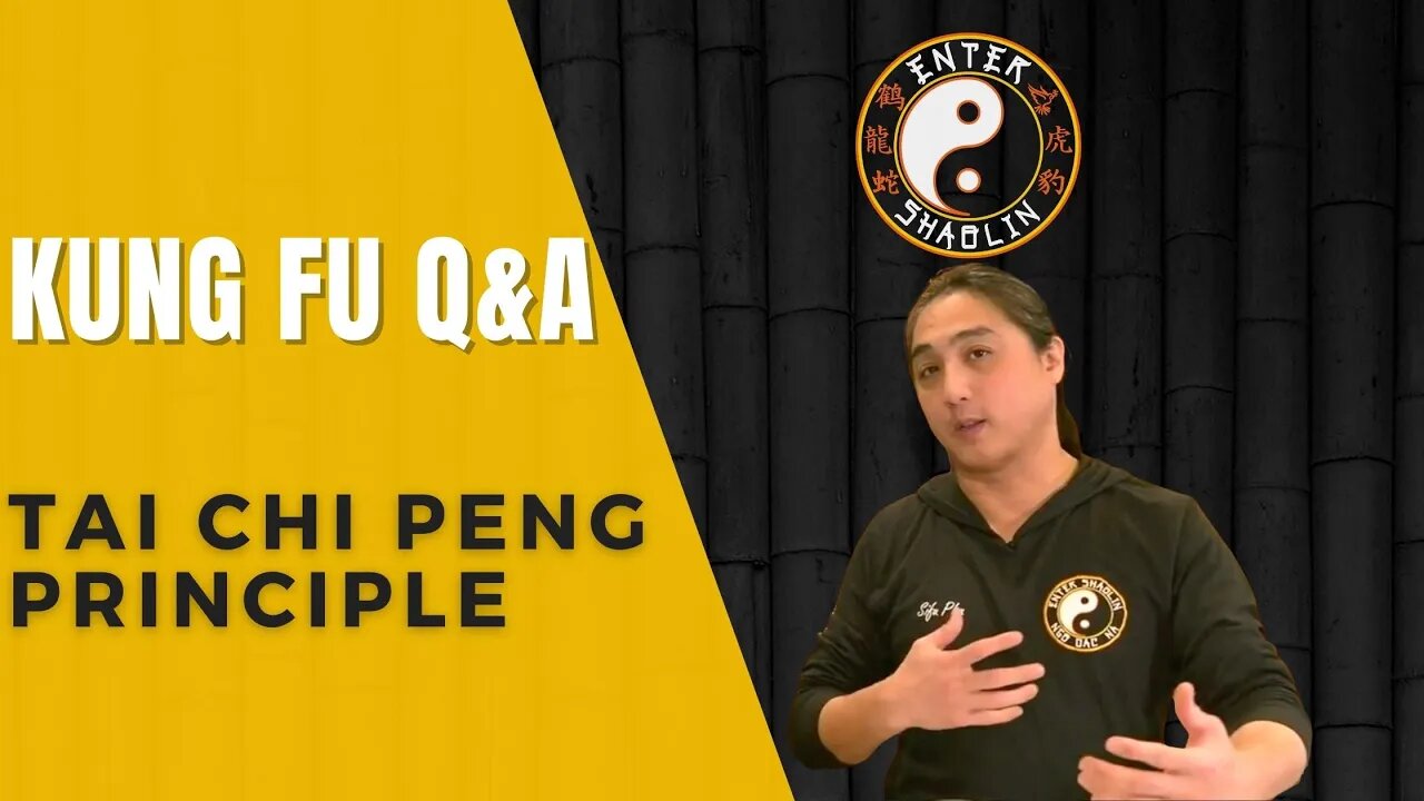 Tai Chi Peng Principle Question | Kung Fu Training