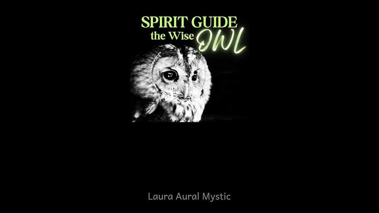 🔮 SPIRIT GUIDE - THE OWL / Spiritual Signs 🦋