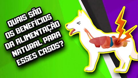 Alimentação Natural pode CURAR problemas intestinais de Cães?