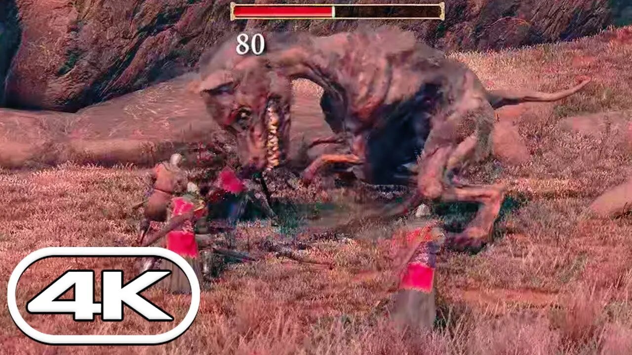 Soldiers vs Dogs in Elden Ring