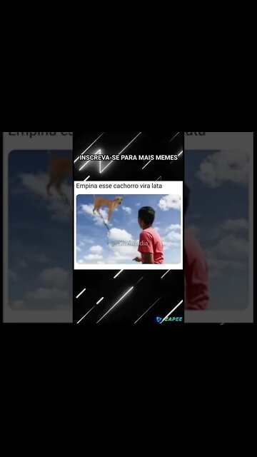 memes em imagens para status #status #Shorts #patotinhadosmemes