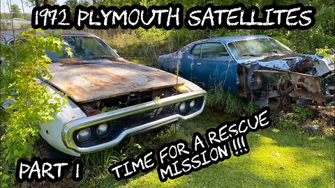 The forgotten two. These two 1972 Plymouth Satellites have been on cinderblocks for over 20 years!