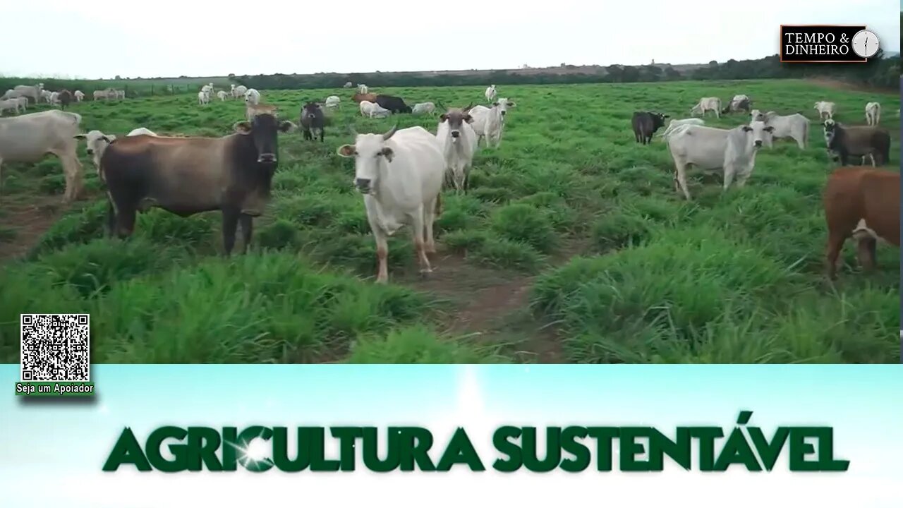 Agricultura Sustentável - com Frederico Olivi