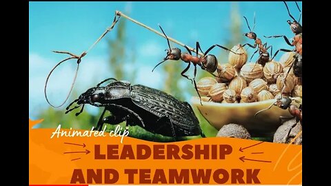 Team work | Animated clip | Leadership