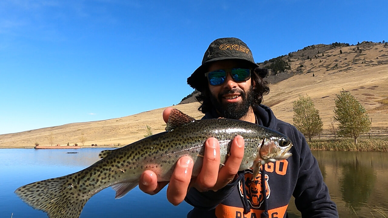 Cascade, Montana: Rainbow/Brown Trout