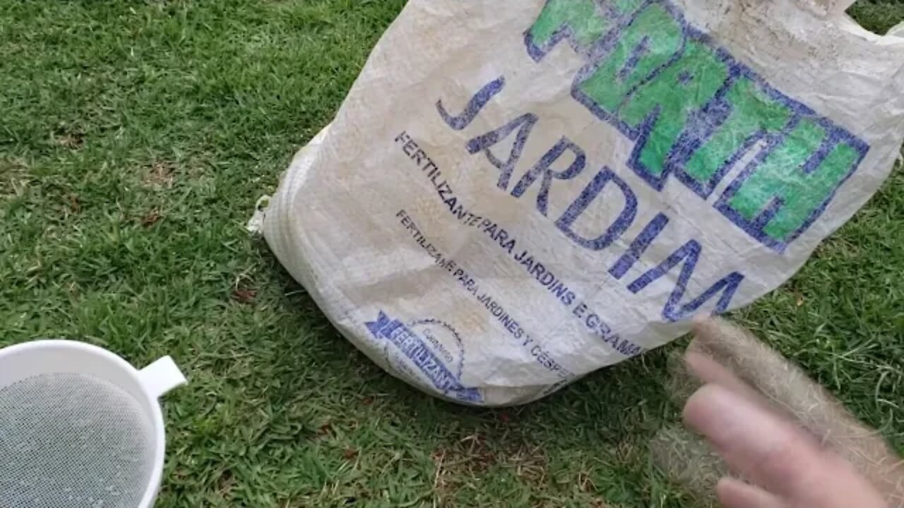 🌱 Como Adubar Seu Gramado - Como Fertilizar o Seu Gramado Corretamente