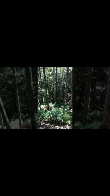 Winter River Trail PEI Canada