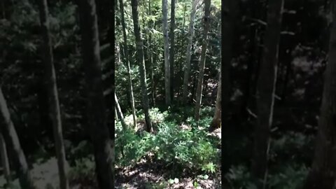 Winter River Trail PEI Canada