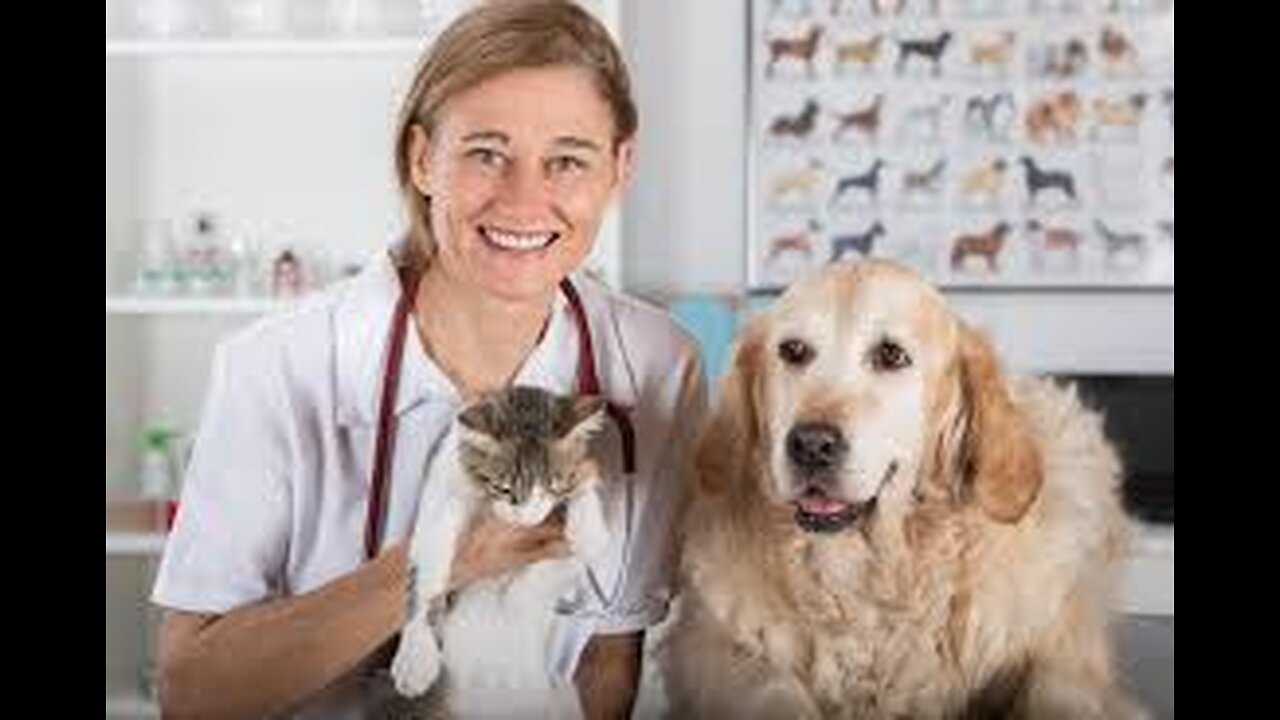 pets care videos