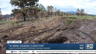 Family watches flood path create 'own Grand Canyon' near Flagstaff