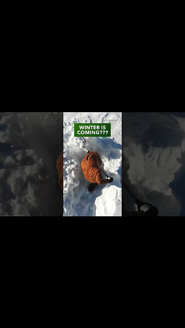 10 Home "Must-Do's" to Prepare Your House for Winter #shorts