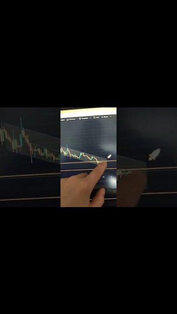 SHIB 🤑 Crypto #shorts