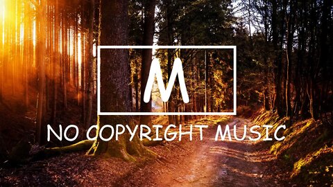 Julian Avila - CALIFORNIA（Mm No Copyright Music）