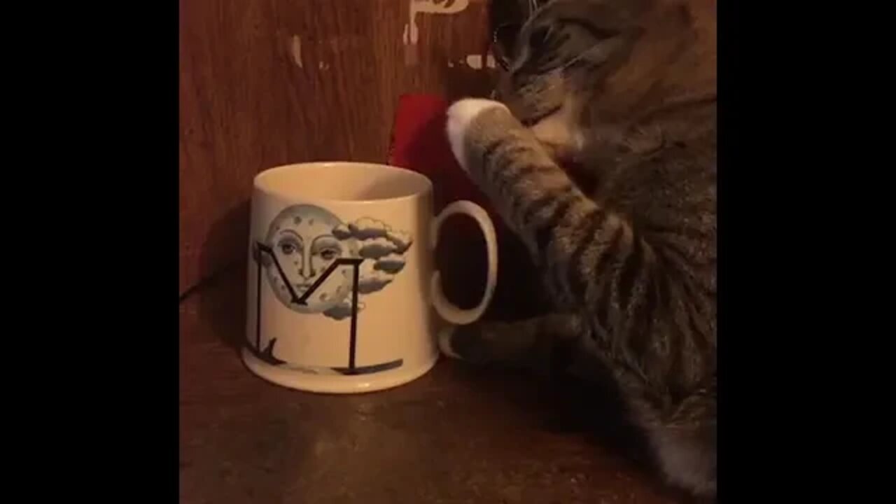 Coffee Thief!!!!