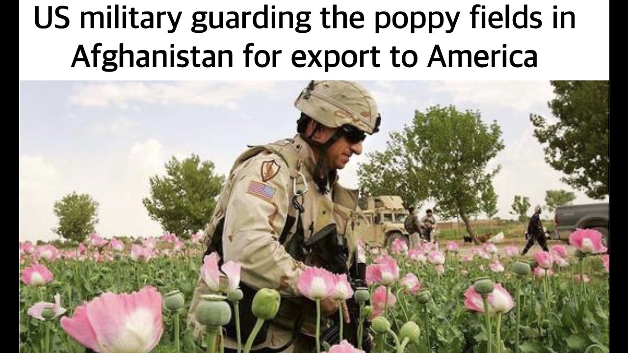 During US Occupation, Poppy Crop in Afghanistan shot up