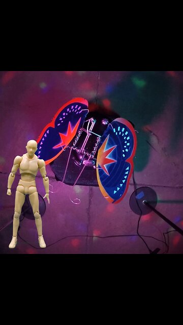 Butterfly Company - animation by Kid Bevel