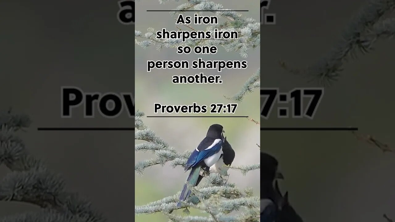 IRON SHARPENS IRON! | MEMORIZE HIS VERSES TODAY | Proverbs 27:17 With Commentary!