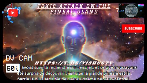 Toxic Attacks On The Pineal Gland... 🕊♒🌞 #VishusTv 📺