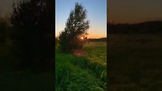 Sunset in mid June in Canada