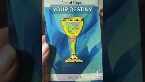 #your #destiny