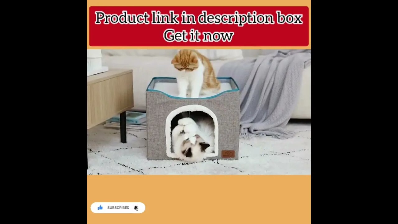 cute cat videos 😹 funny videos 😂228