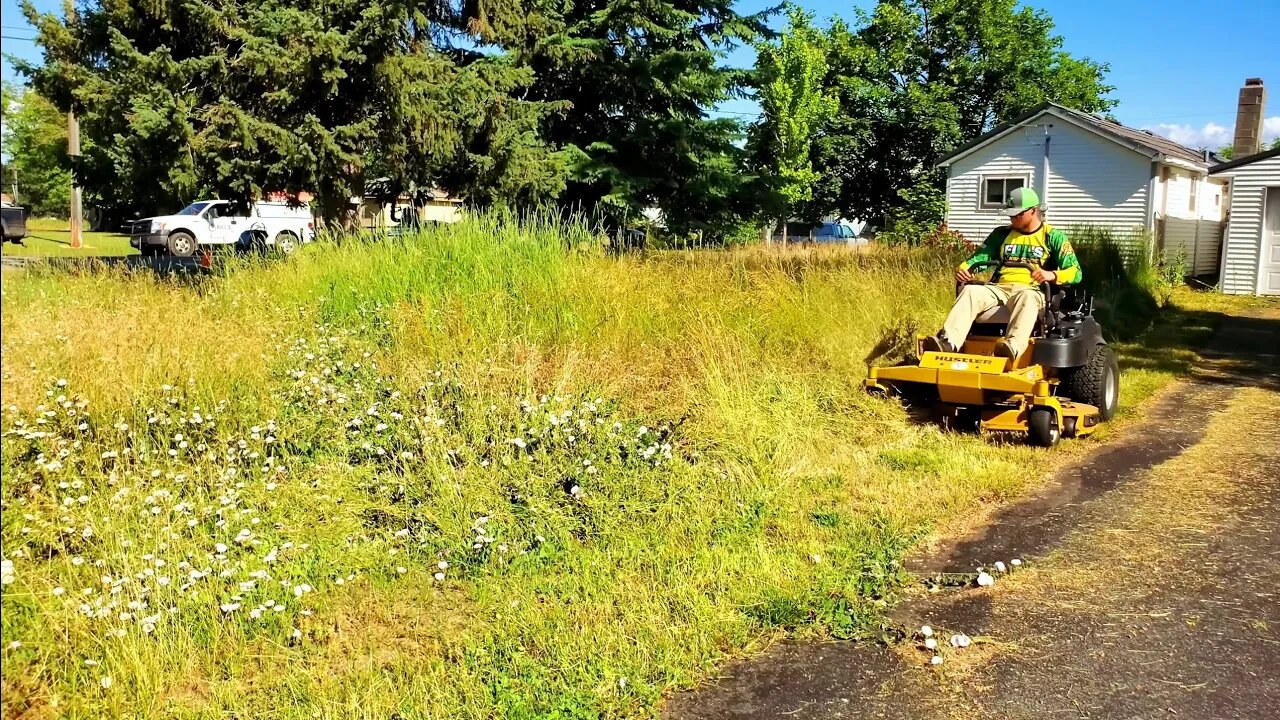 I Found This Overgrown ABANDONED House & Gave It A FREE Lawn Makeover