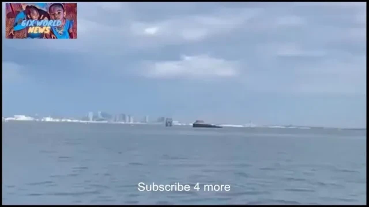 humpback whale breaches yards from stunned onlookers in Boston Harbor