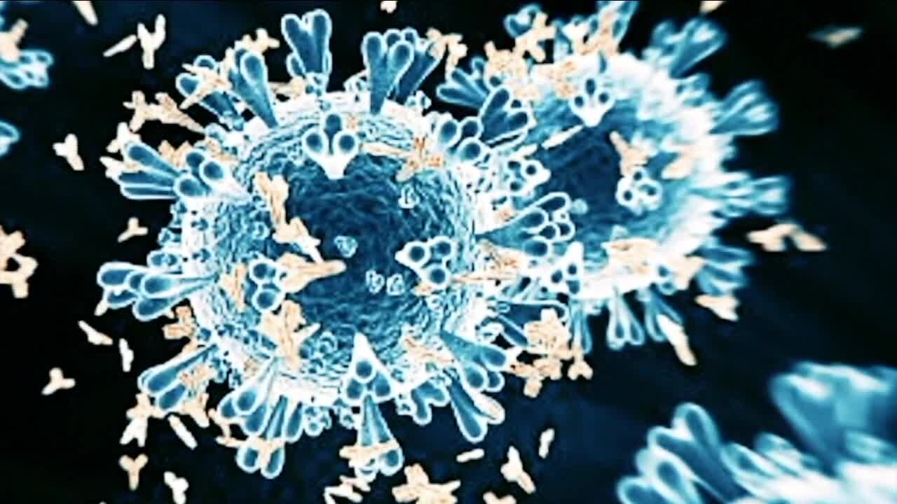 Doctors grow more concerned about COVID-19, RSV, and flu spread as Thanksgiving gatherings approach