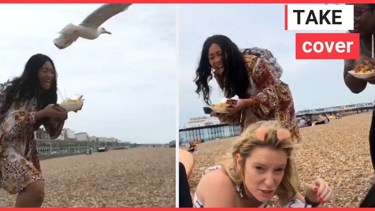 Hungry seagulls chase after woman's fish & chips