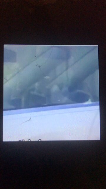 Masks for covid are handy for anything