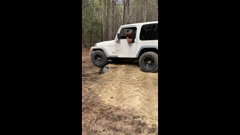 Manual Stock Jeep TJ Offroads