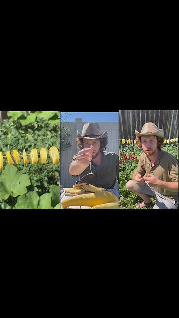 How to Store Your Food Organically and Naturally! [24.09.2023]