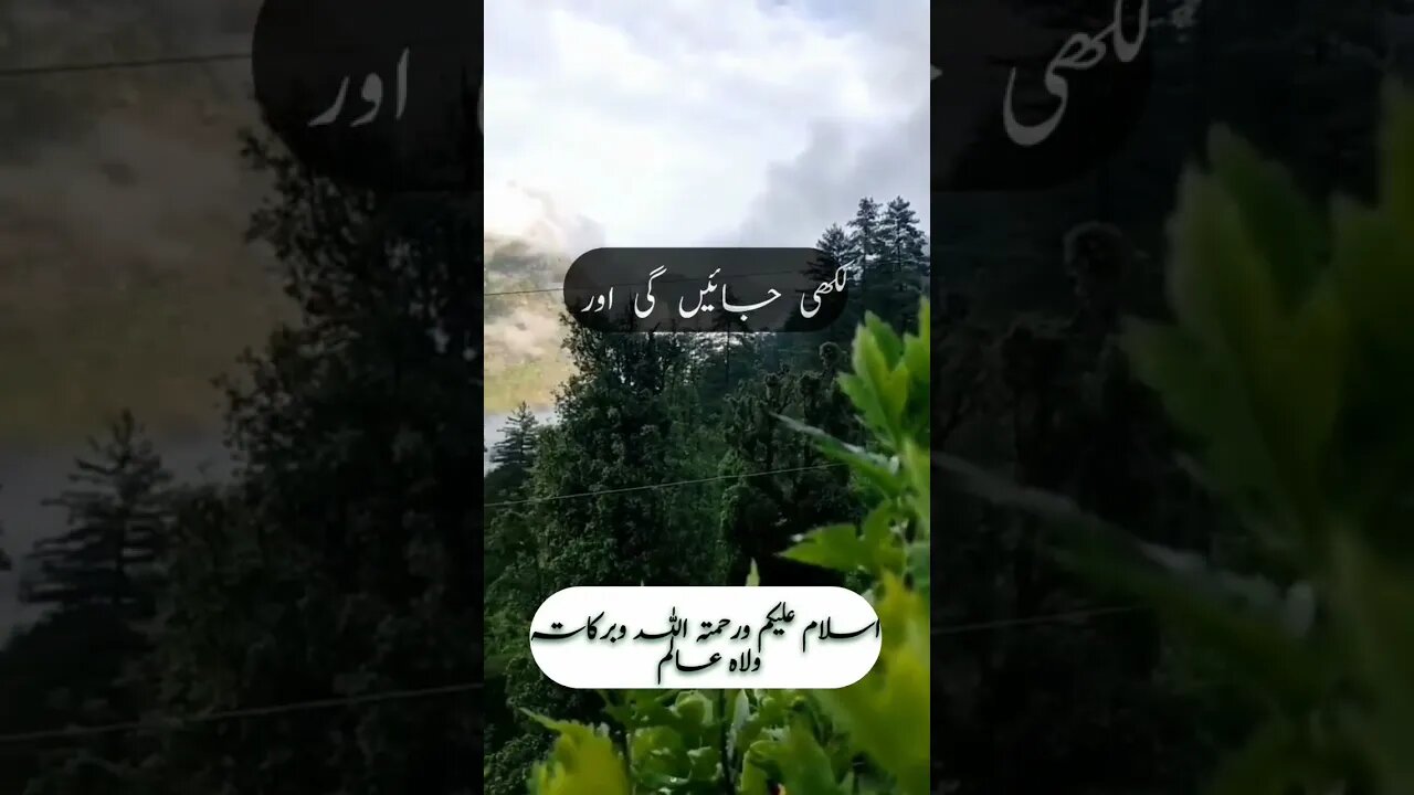 Jisne Apne Dil SE Ye Alfaz Bole?