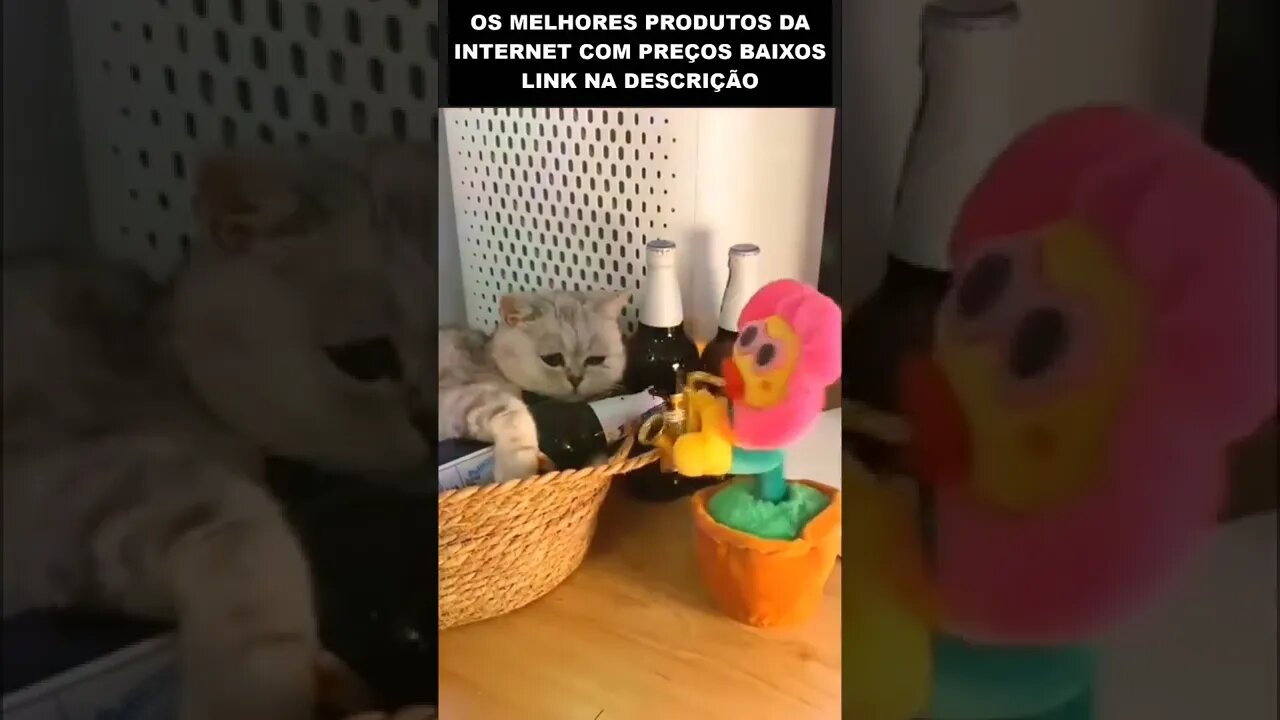 quando a gata te larga